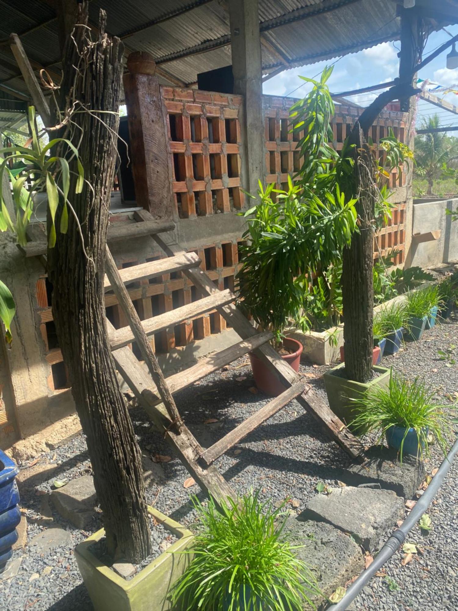 Homestay Tay Xa Trang Bom Exterior foto