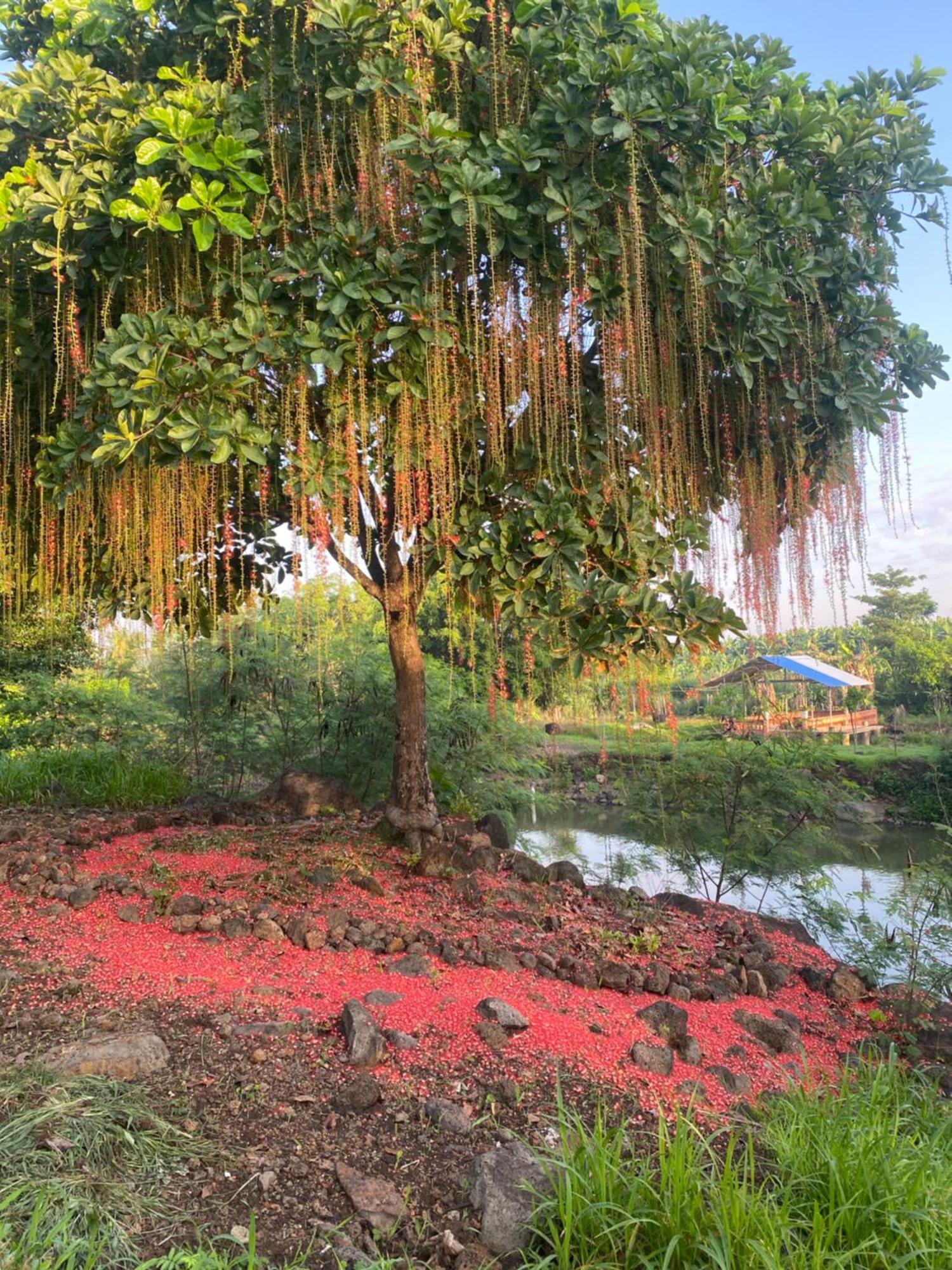 Homestay Tay Xa Trang Bom Exterior foto