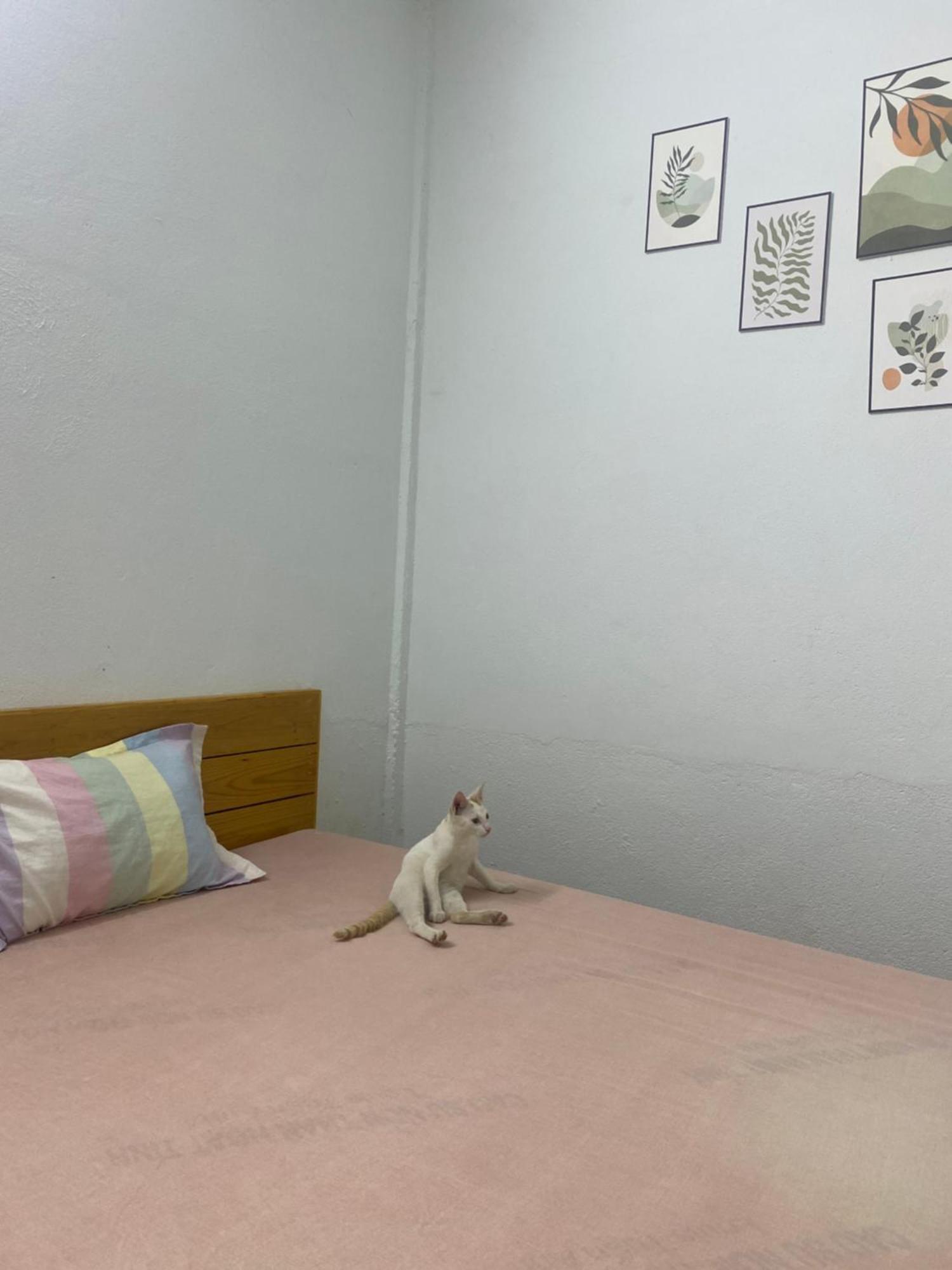 Homestay Tay Xa Trang Bom Exterior foto
